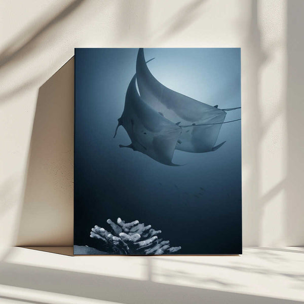 Tablou canvas „Sonata” de Andrey Narchuk