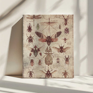 Tablou canvas „Vintage-style  Insects” de Mike Koubou