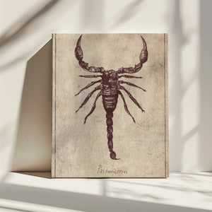 Tablou canvas „Palamnaersus Specie” de Mike Koubou