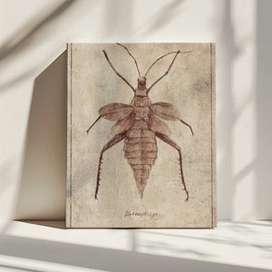 Tablou canvas „Vintage Insect Illustration” de Mike Koubou