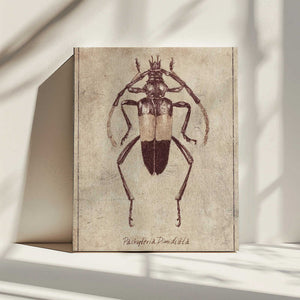 Tablou canvas „Vintage Insect Sketch” de Mike Koubou