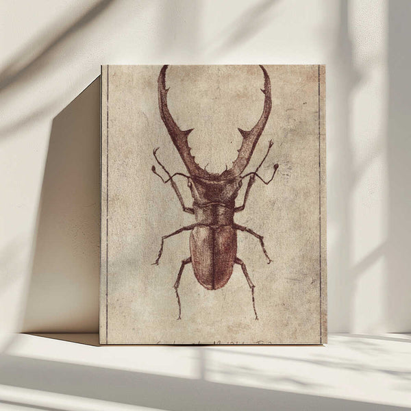 Tablou canvas „Antique Beetle Illustration” de Mike Koubou