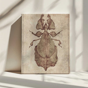 Tablou canvas „Phyllium Siccifolium Copy” de Mike Koubou