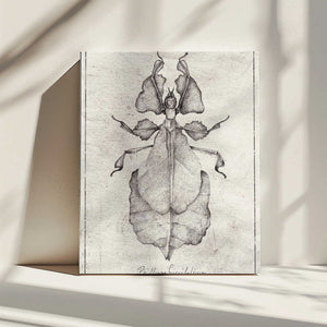 Tablou canvas „Phyllium Siccifolium” de Mike Koubou