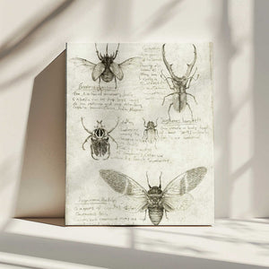 Tablou canvas „Sketches Of Beetles And Insects” de Mike Koubou