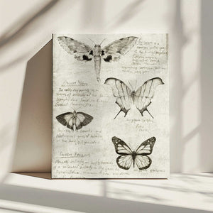 Tablou canvas „Butterfly Illustrations” de Mike Koubou