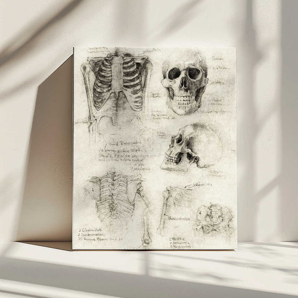 Tablou canvas „Bones of the Core Skull &amp; Ribcage Studies” de Mike Koubou