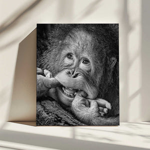 Tablou canvas „Big Smile.....please” de Angela Muliani Hartojo