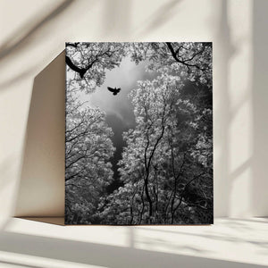 Tablou canvas „Flight” de Goran Stamenkovic