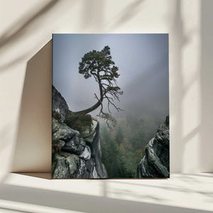 Tablou canvas „Against the Odds” de Andreas Wonisch