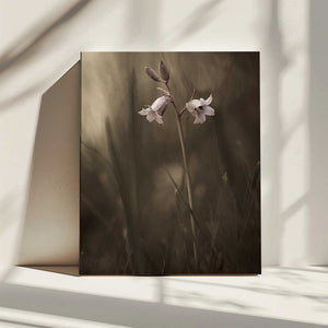 Tablou canvas „A small flower on the ground” de Allan Wallberg
