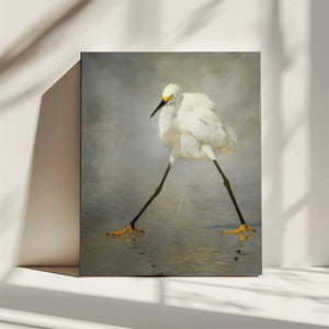 Tablou canvas „The Rock Star” de Alfred Forns