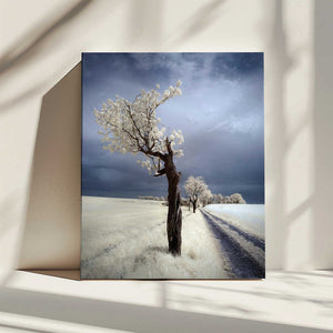 Tablou canvas „IRenka” de Piotr Krol (Bax)