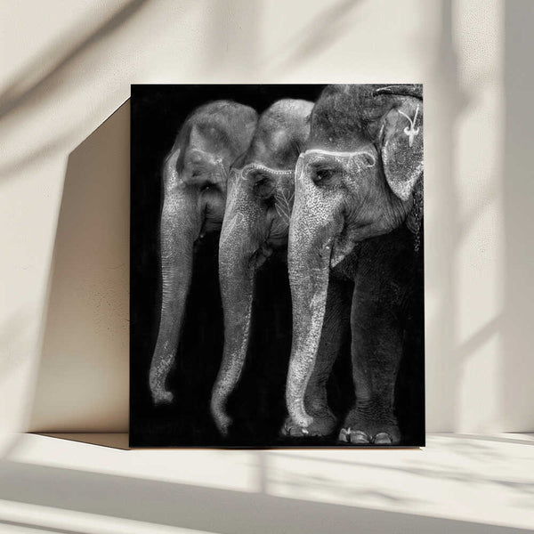 Tablou canvas „Nature\'s great masterpiece, an elephant; the only harmless great thing ...” de Yvette Depaepe