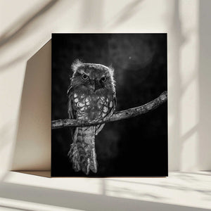 Tablou canvas „Alone in the night” de wilianto