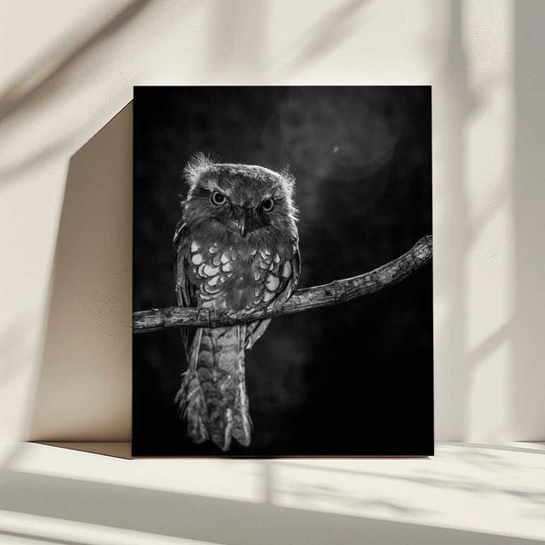 Tablou canvas „Alone in the night” de wilianto