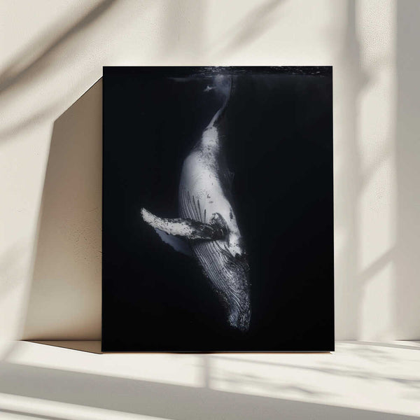 Tablou canvas „Black Whale” de Barathieu Gabriel