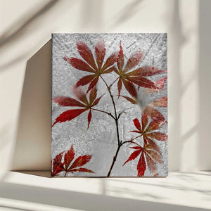 Tablou canvas „red maple” de Secundino Losada