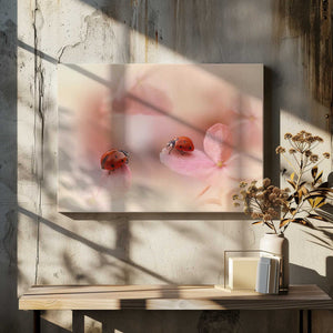 Tablou canvas „Ladybirds on pink hydrangea.” de Ellen van Deelen