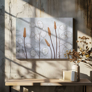 Tablou canvas „Lunaria” de Mandy Disher