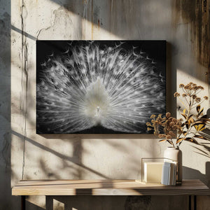 Tablou canvas „black and white,” de Pino Liddi
