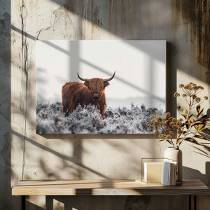 Tablou canvas „Highlander” de Jaap van den Helm