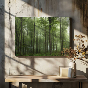 Tablou canvas „Forest...” de Leif Løndal