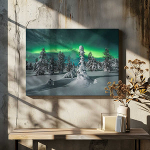 Tablou canvas „ polar night” de Raymond Hoffmann