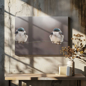 Tablou canvas „Birds on a wire” de Lucie Gagnon