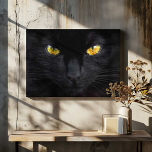 Tablou canvas „The hypnotist of the night” de Ferdinando Valverde