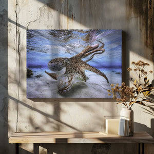 Tablou canvas „Dancing Octopus” de Barathieu Gabriel