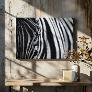 Tablou canvas „The look of nature” de Marco Tagliarino