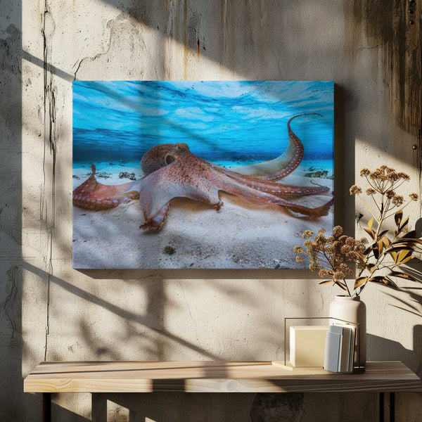 Tablou canvas „Octopus” de Barathieu Gabriel