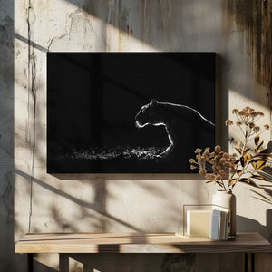 Tablou canvas „Untitled” de Tudor Thomas