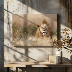 Tablou canvas „Handsome!” de Ali Khataw