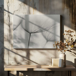 Tablou canvas „Tragopogon” de Lotte Grønkjær