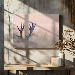 Tablou canvas „  Hide &amp; Seek  ( Horn of Stag)” de Kutub Uddin