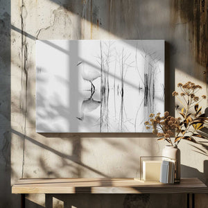 Tablou canvas „white” de Zhecho Planinski