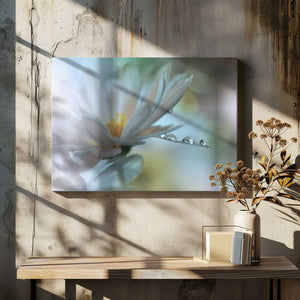Tablou canvas „Light touch...” de Juliana Nan