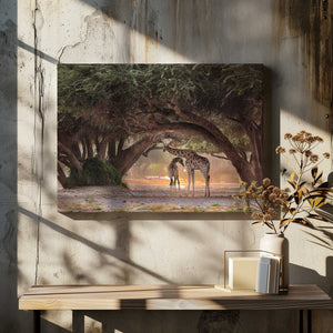Tablou canvas „Giraffe - Namibia” de Giuseppe DAmico