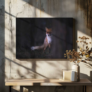 Tablou canvas „Glances” de Sebastian Mastahac