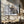 Tablou canvas „Rewilded” de Sebastian Mastahac