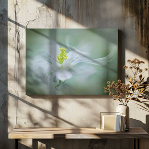 Tablou canvas „Mystical” de Jacky Parker