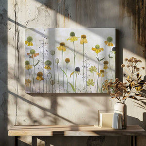 Tablou canvas „Helenium” de Mandy Disher