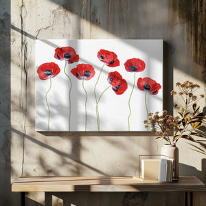 Tablou canvas „Ladybird Poppies” de Mandy Disher