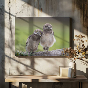 Tablou canvas „Friends” de Greg Barsh