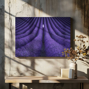 Tablou canvas „SHE” de Lluis de Haro Sanchez
