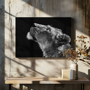 Tablou canvas „Looking Up” de Christian Meermann