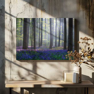 Tablou canvas „Bluebells” de Adrian Popan