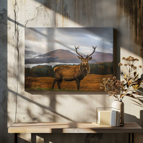 Tablou canvas „Scottish Stag” de Adrian Popan